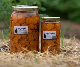 educación-alimentación-natural