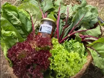 Agricultura-Ecológica