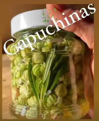 talleres-de-forrmación